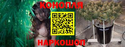 спиды Изобильный