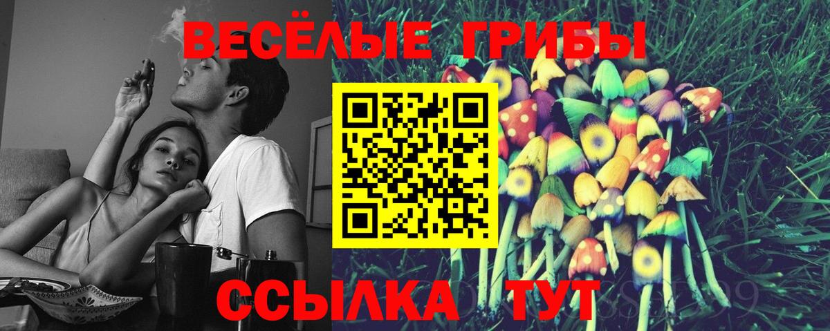 Усть-Илимск  Галлюциногенные грибы мухоморы  Вход с VPN 
