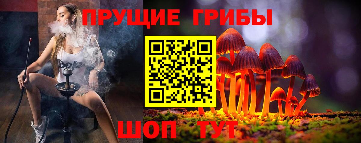 Псилоцибиновые грибы MAGIC MUSHROOMS Усть-Илимск